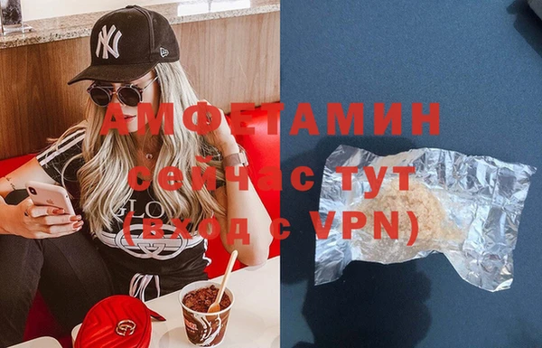 крисы Алзамай