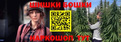 сатива Гудермес