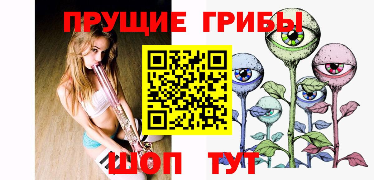 Псилоцибиновые грибы Psilocybe  Вход с VPN  Дюртюли  Галлюциногенные грибы мухоморы 