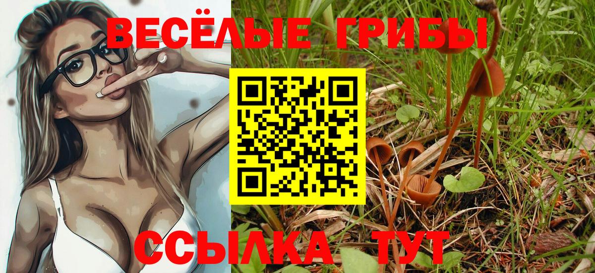 Галлюциногенные грибы Psilocybine cubensis Дюртюли